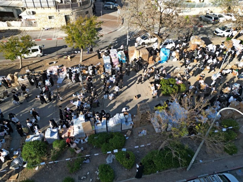 יהושע פרוכטר