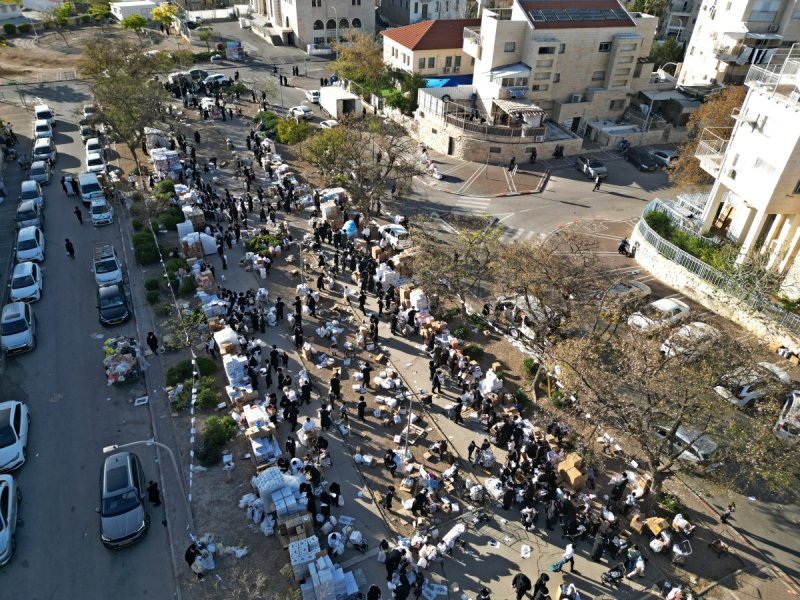 יהושע פרוכטר