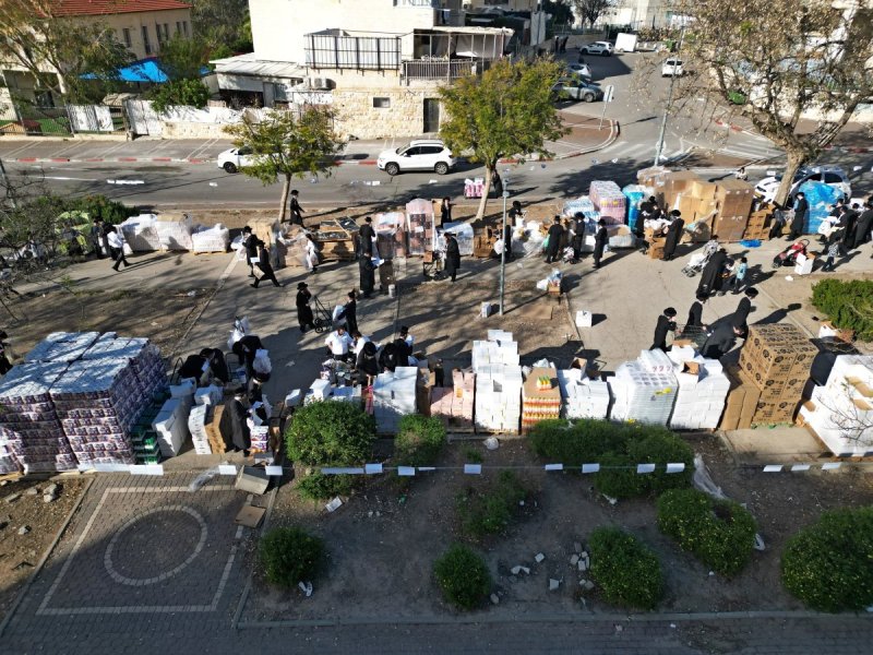 יהושע פרוכטר