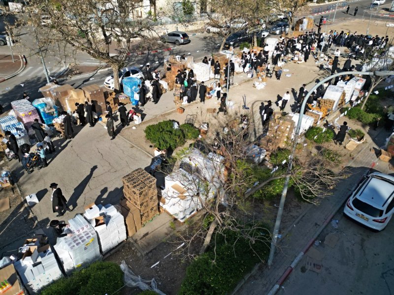 יהושע פרוכטר