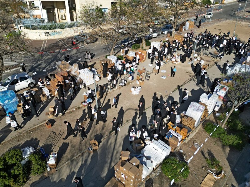 יהושע פרוכטר