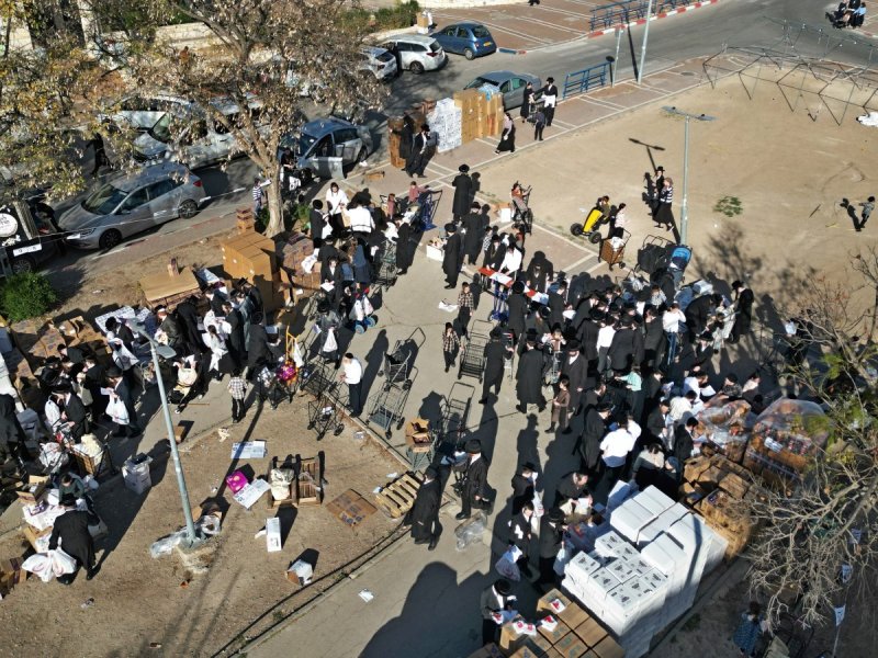 יהושע פרוכטר