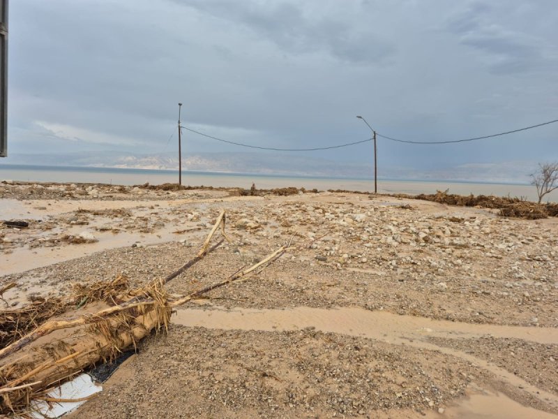 שוקי דורי, רט"ג