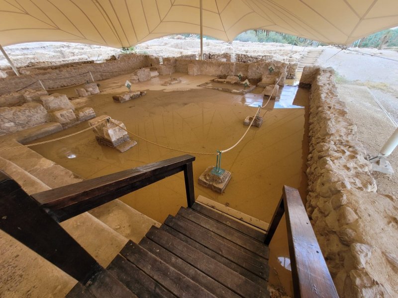 רובי מיאל, רט"ג