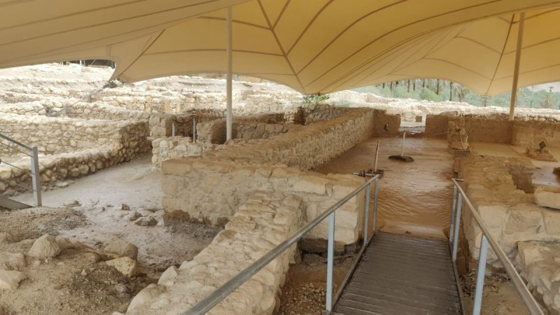 רובי מיאל, רט"ג