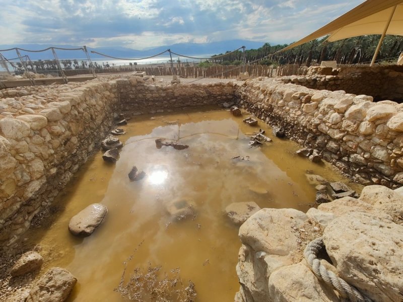 רובי מיאל, רט"ג