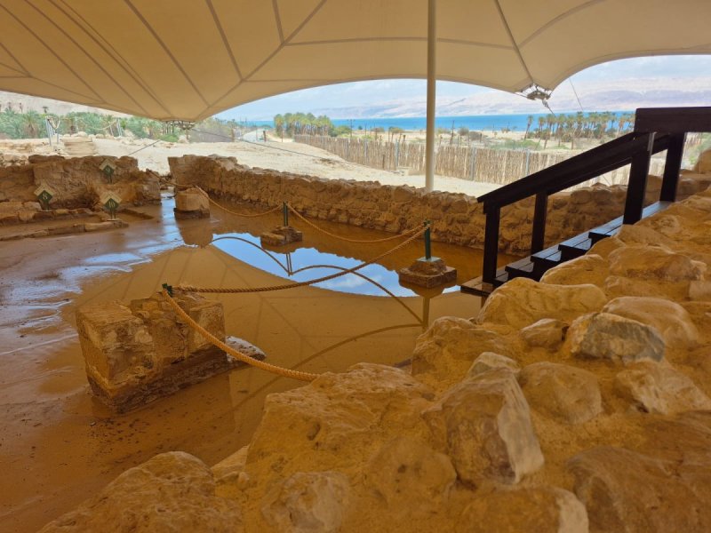 רובי מיאל, רט"ג