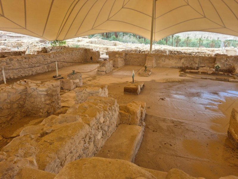 רובי מיאל, רט"ג