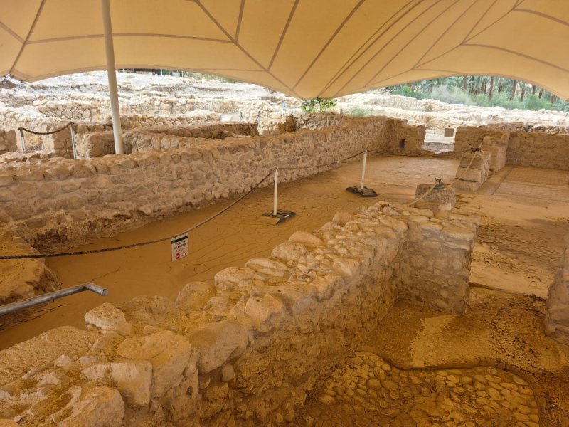 רובי מיאל, רט"ג