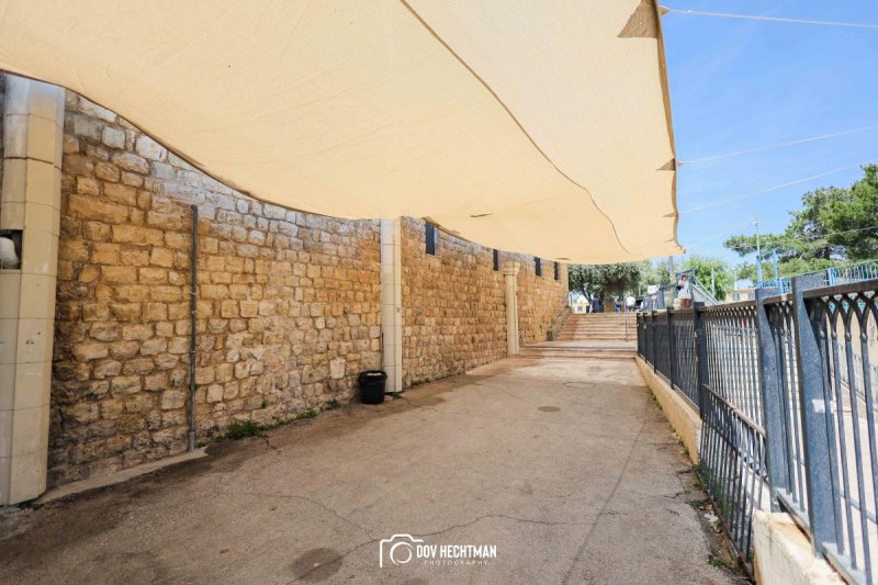 דוב בער הכטמן