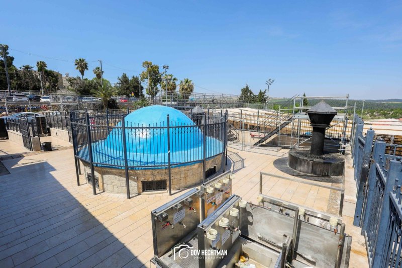 דוב בער הכטמן