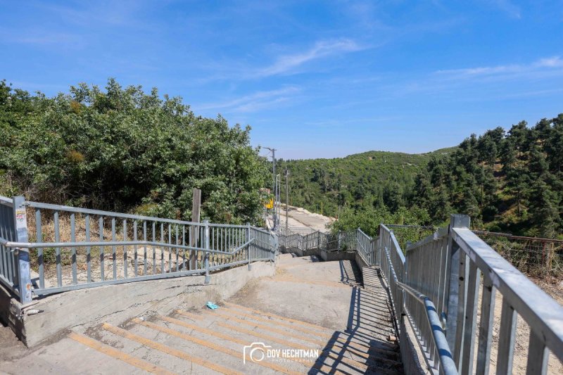 דוב בער הכטמן