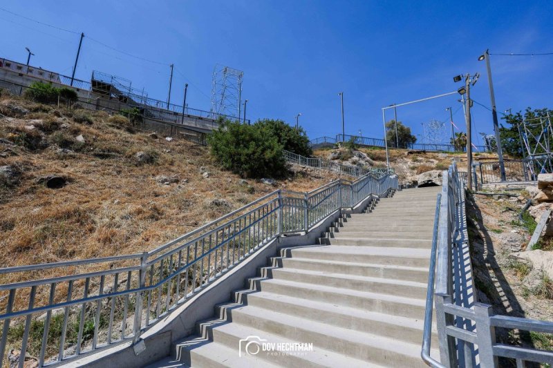 דוב בער הכטמן