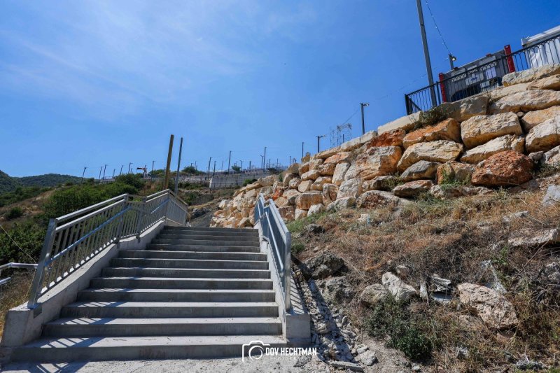 דוב בער הכטמן