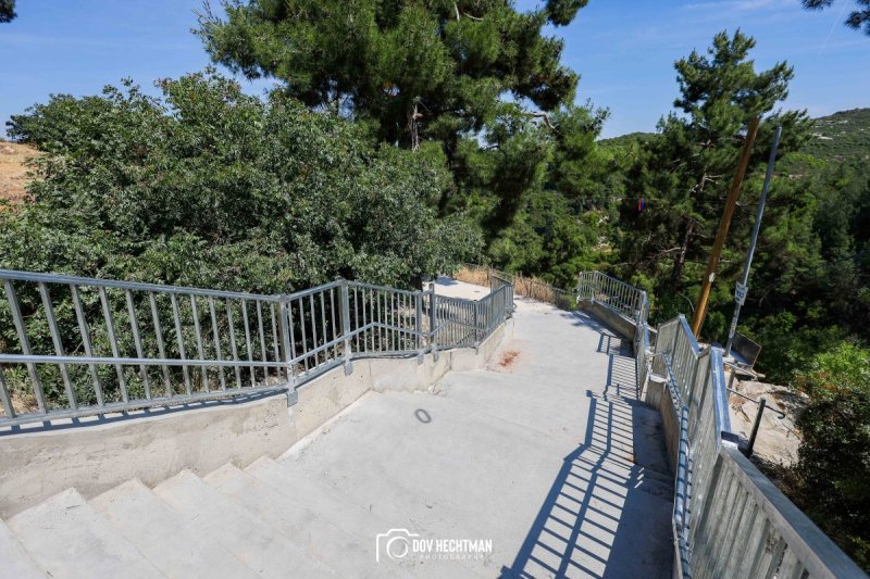 דוב בער הכטמן