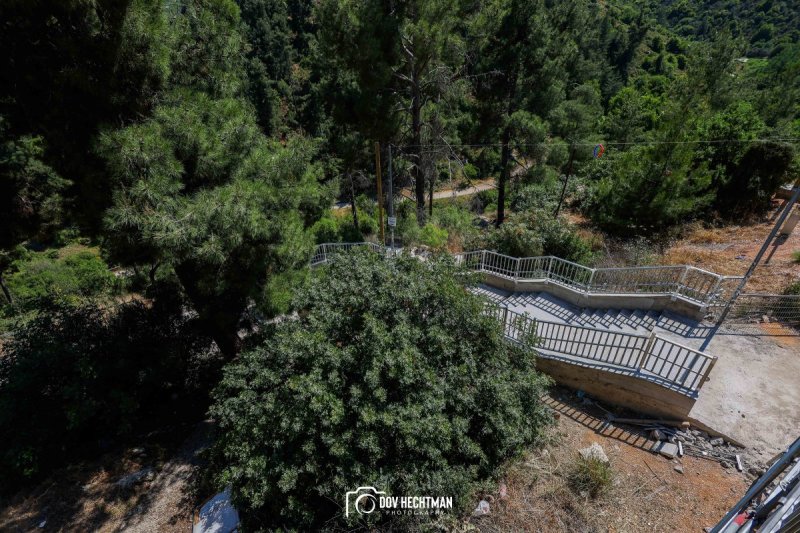 דוב בער הכטמן