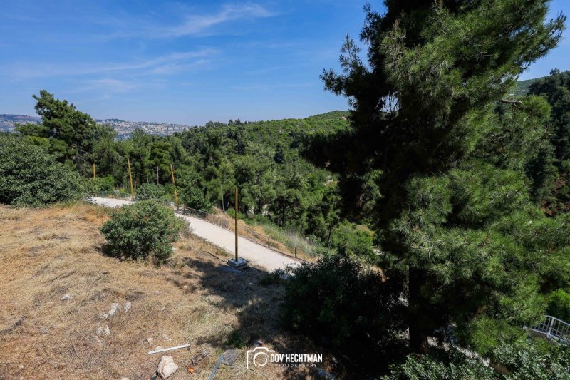 דוב בער הכטמן