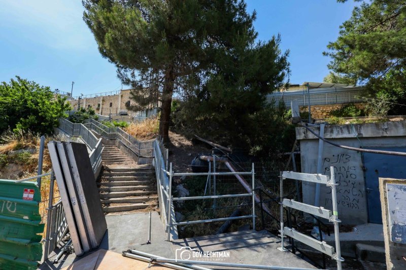 דוב בער הכטמן