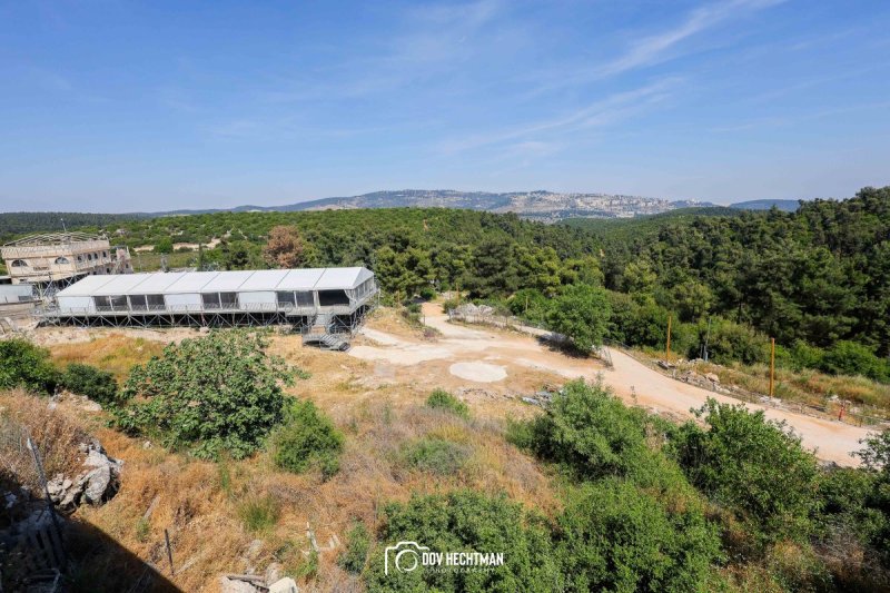 דוב בער הכטמן