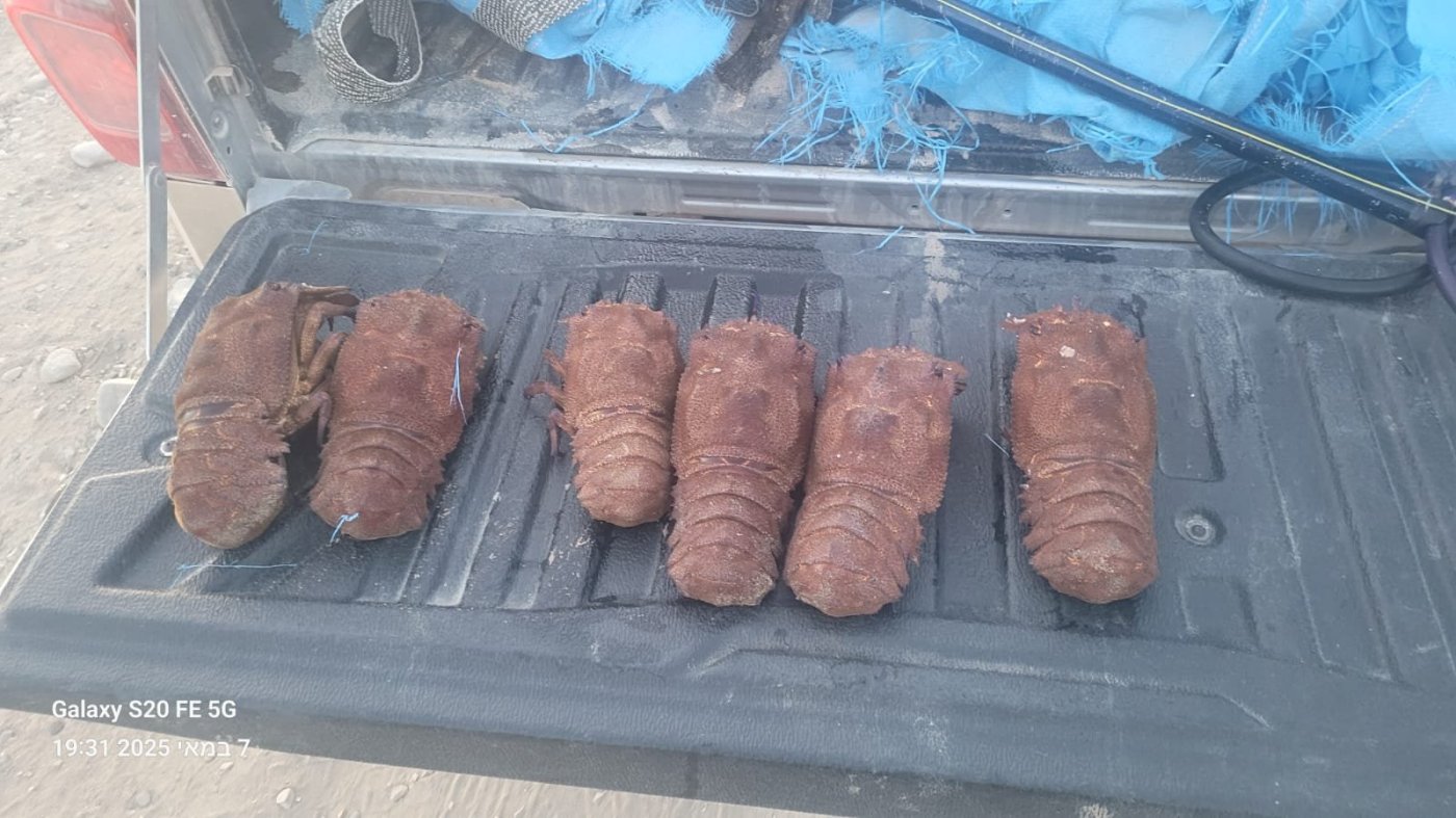 רשות הטבע והגנים 