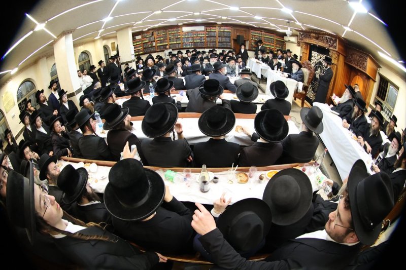 שלומי טריכטר