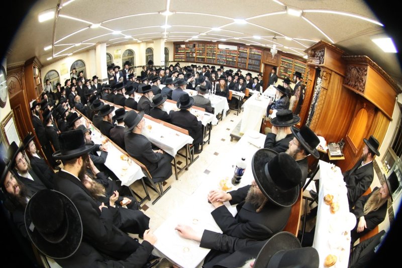 שלומי טריכטר