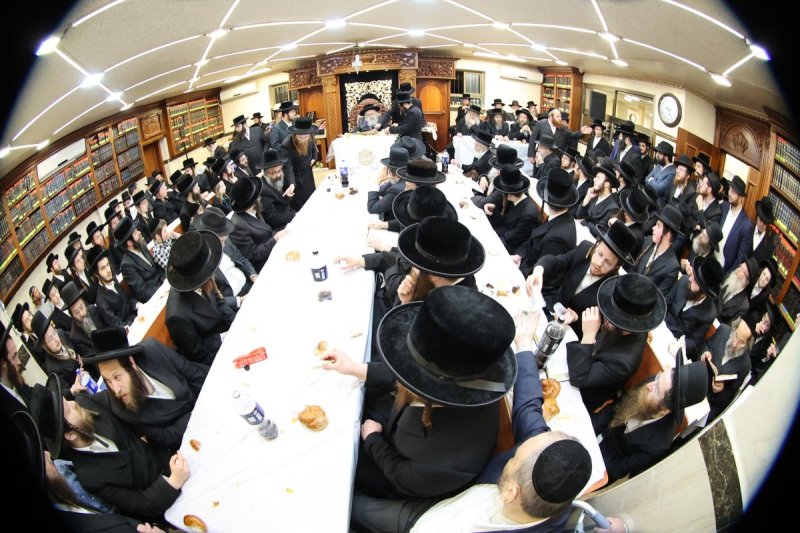 שלומי טריכטר