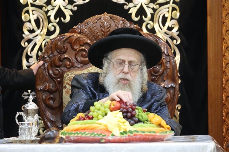 שלומי טריכטר