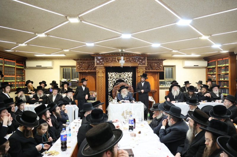 שלומי טריכטר