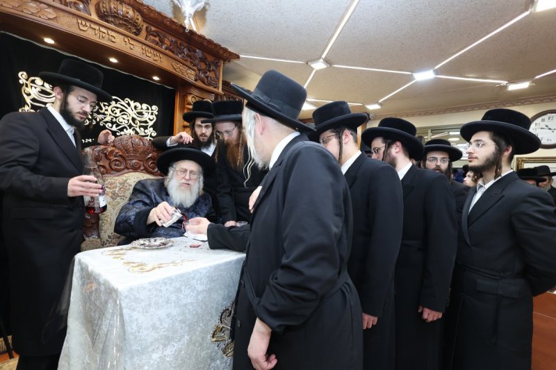 שלומי טריכטר