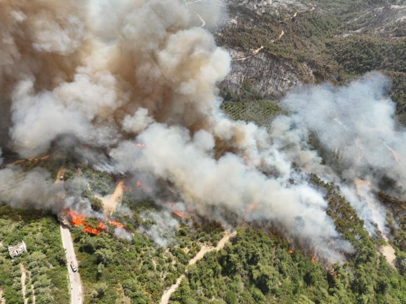 סוכנות הידיעות הסורית הרשמית סאנא