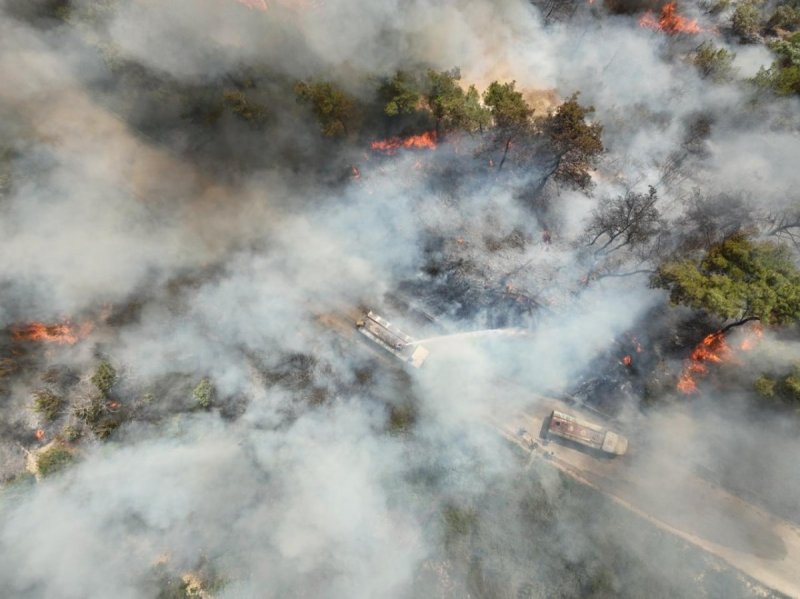 סוכנות הידיעות הסורית הרשמית סאנא