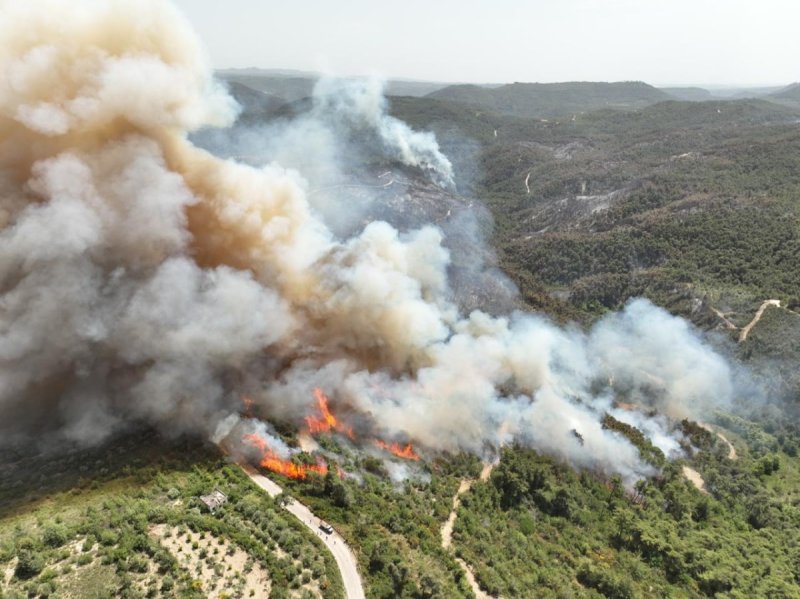 סוכנות הידיעות הסורית הרשמית סאנא
