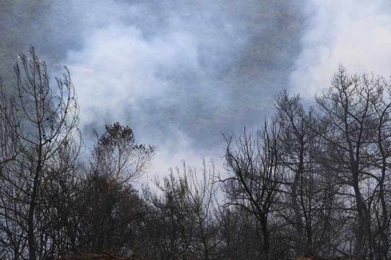 סוכנות הידיעות הסורית הרשמית סאנא