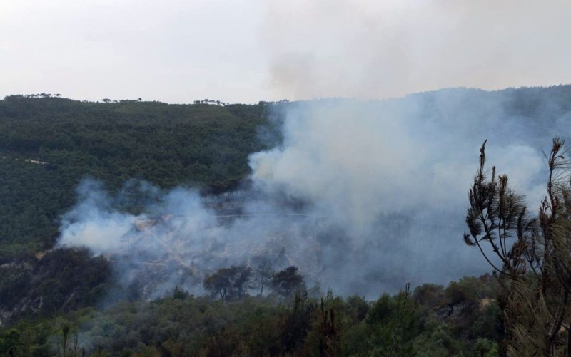 סוכנות הידיעות הסורית הרשמית סאנא