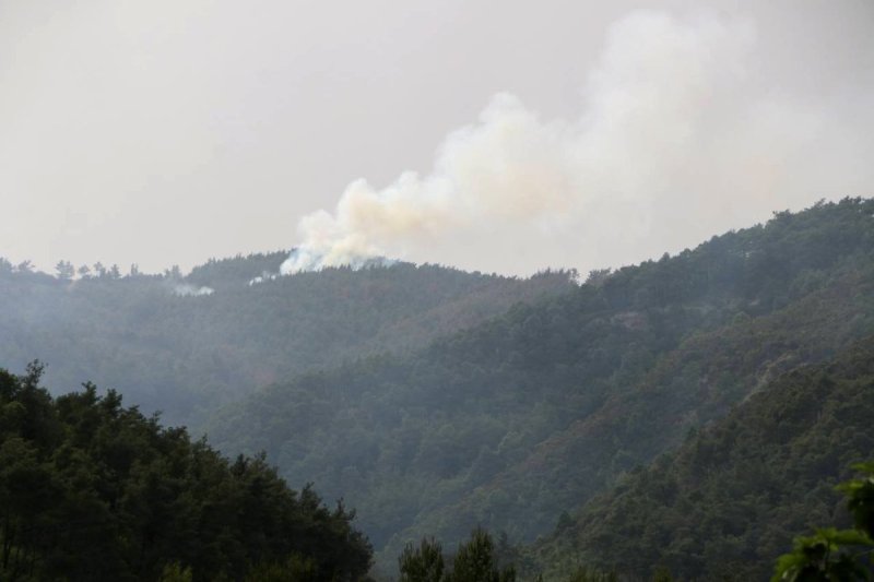 סוכנות הידיעות הסורית הרשמית סאנא