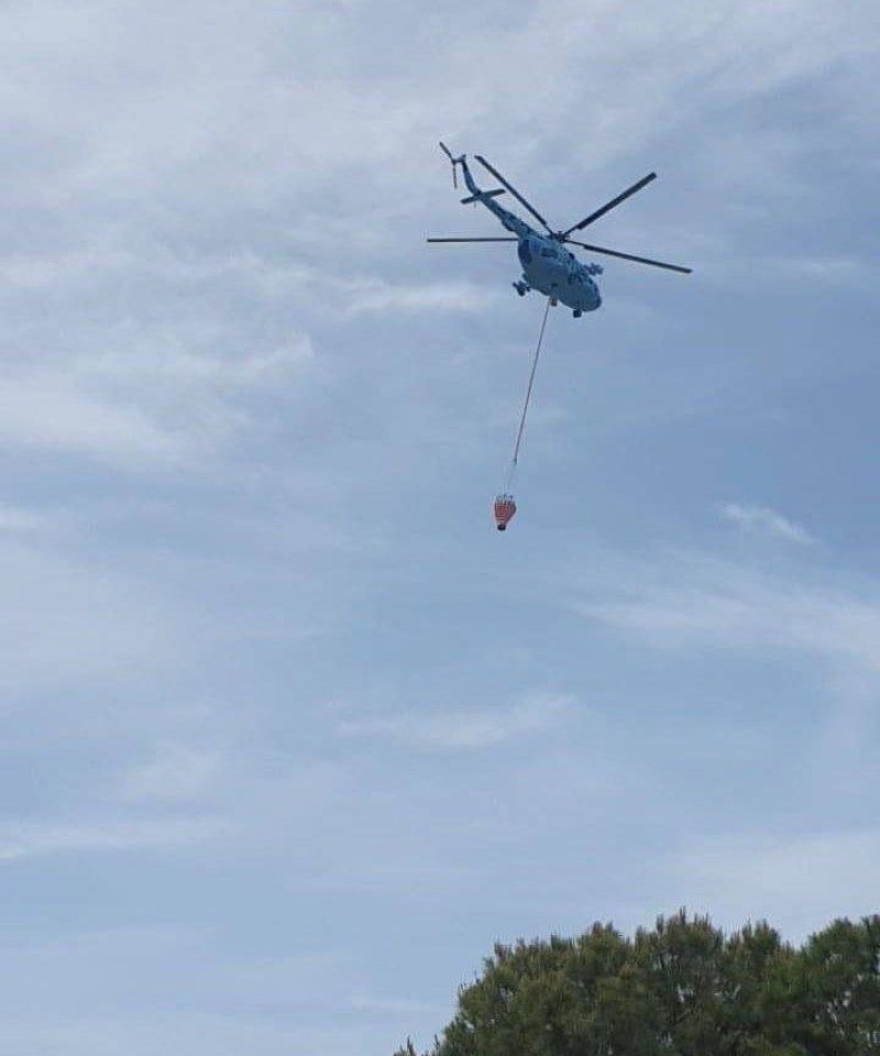 סוכנות הידיעות הסורית הרשמית סאנא