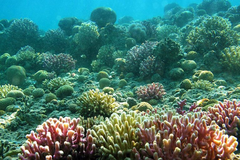  ד"ר אסף זבולוני