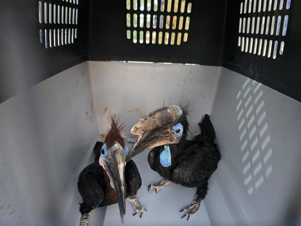 רשות הטבע והגנים