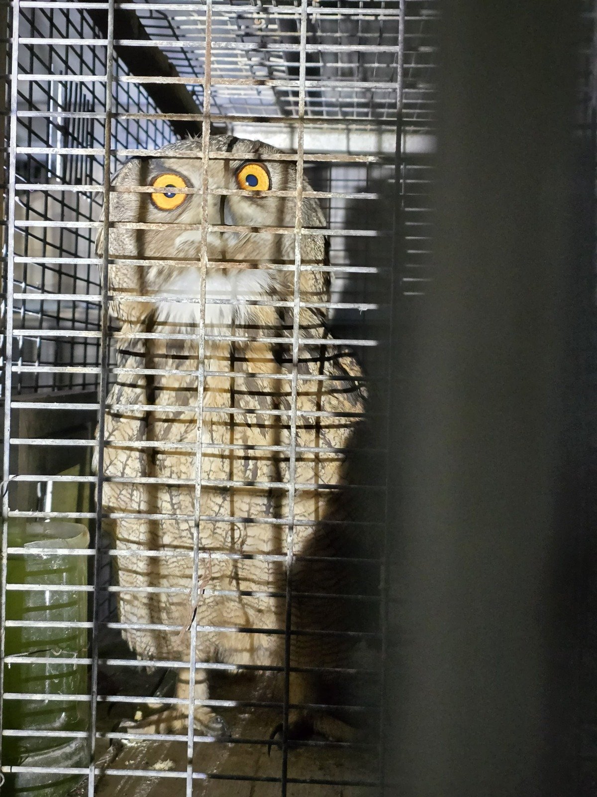 רשות הטבע והגנים