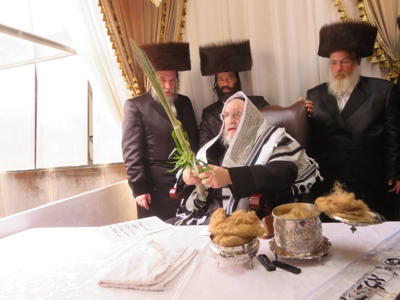 שוקי לרר
