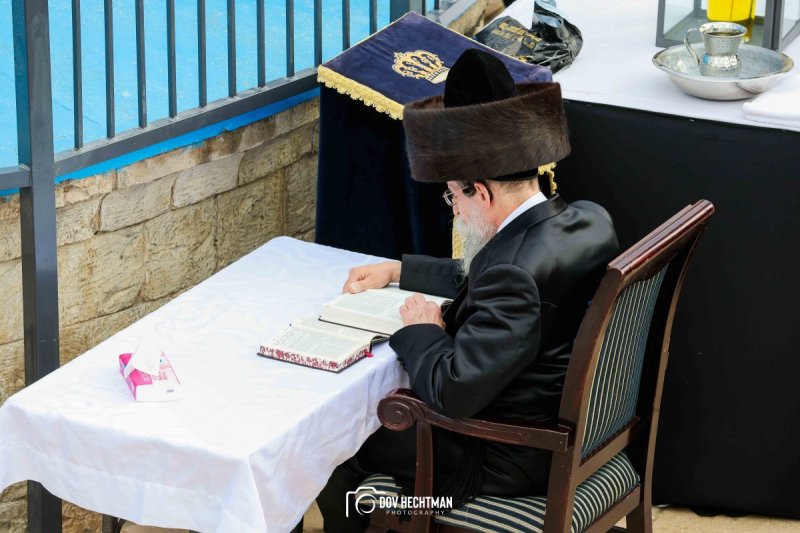 דב בער הכטמן