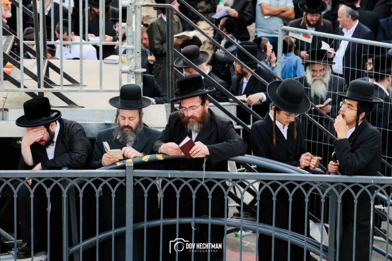 דב בער הכטמן