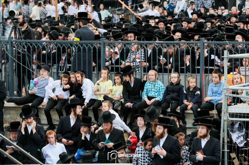 דב בער הכטמן