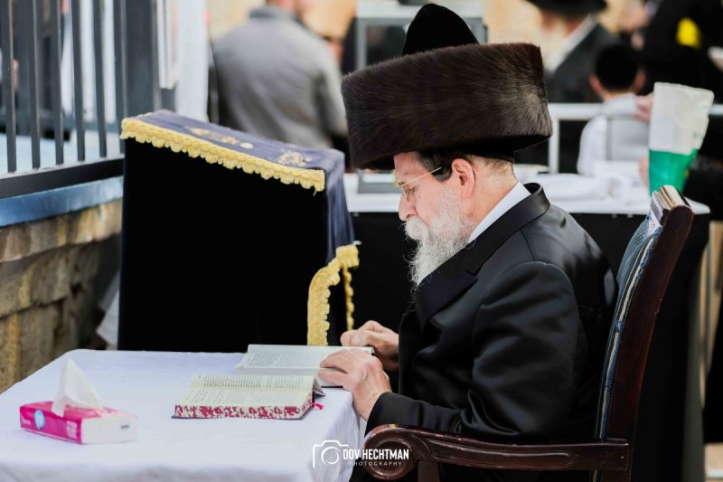 דב בער הכטמן