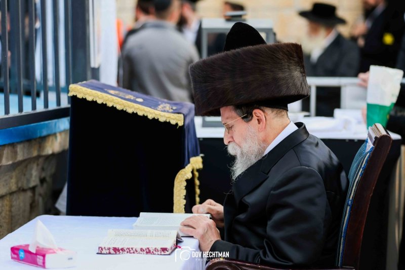 דב בער הכטמן