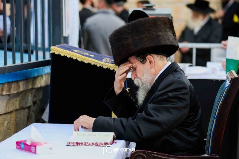 דב בער הכטמן