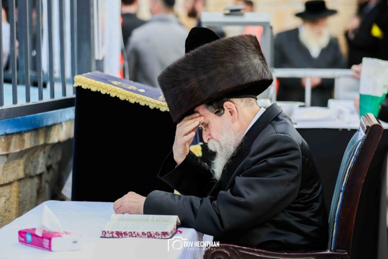 דב בער הכטמן