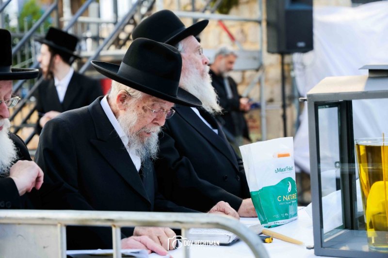 דב בער הכטמן