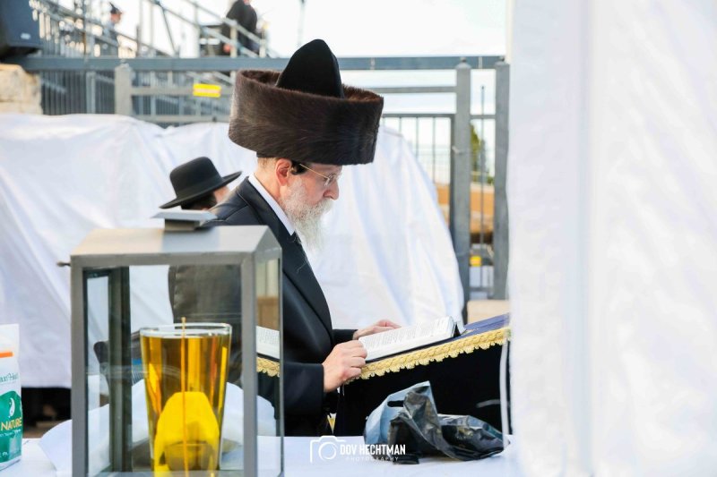 דב בער הכטמן